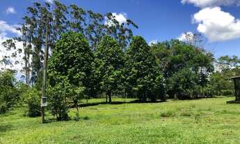 Imagem 4: Sítio Iguape 6 alqueire duas casa