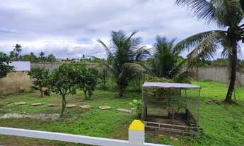 Imagem 6: Casa com piscina