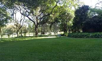 Imagem 6: São Paulo - Apartamento Padrão - CAMPO GRANDE