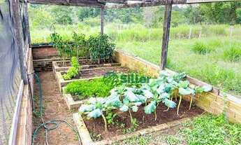 Imagem 7: Terreno à venda, 2500 m² por R$ 110.000,00 - Morungava - Gravataí/RS