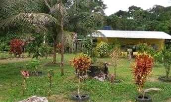 Imagem 6: Casa km 126 br174 presidente Figueiredo