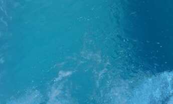 Imagem 5: Lote com piscina