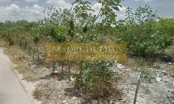 Imagem 6: Terreno à venda, 50000 m² por R$ 380.000,00 - Corrente Riacho Fundo - Cascavel/CE