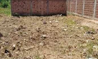 Imagem: Terrenos em venda maragogi