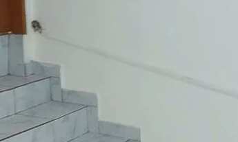 Imagem 5: Aluga-se casa . Casa com 1 dormitório