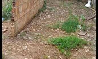 Imagem 6: Vendas terreno Terreno / lote com venda por R$35.000