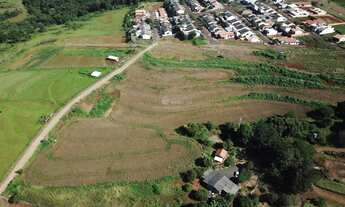 Imagem 3: VENDA DE CHÁCARA EM CAMBIRA