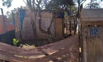 Imagem 2: Vende -se lote no nova Petrópolis alfama