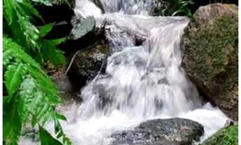 Imagem 3: Fazenda/Sítio/Chácara para venda com 15.000 m2 <br>Com casa boa de 140 m2