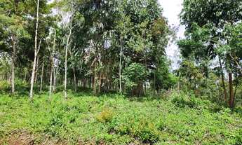 Imagem 4: Chacara belas Áreas Roseira Colombo/ Campina Grande do Sul