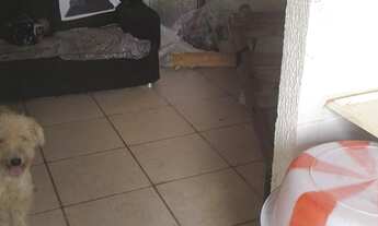 Imagem 2: Aluga se Apartamento com 2 dormitórios