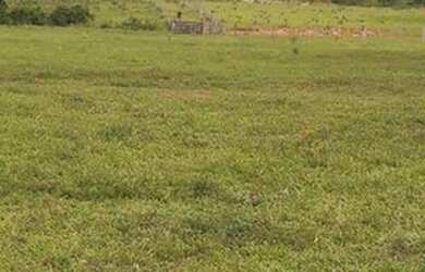 Imagem 5: Fazenda 50 hectares