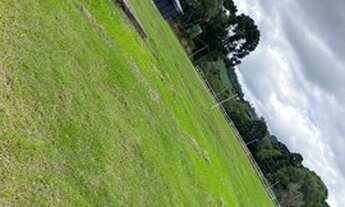 Imagem 6: Vende-se Chácara com venda por R$800.000