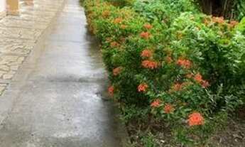 Imagem 6: Apartamento para alugar no Bairro Jardins, Residencial Parque Hermes Fontes de 3/4 e uma s