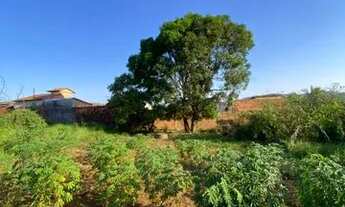 Imagem: Vendo meio lote