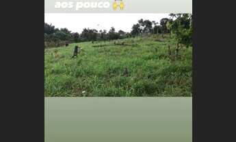 Imagem 6: Sitio proximo a barreira km2