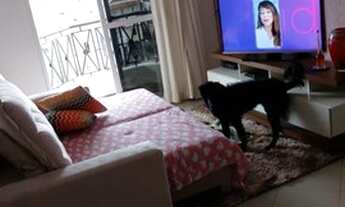 Imagem 2: Apartamento para venda tem 60 metros quadrados com 2 quartos em Vila Guaca - São Paulo - S