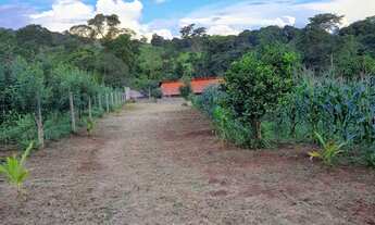 Imagem 4: Chacara em bonfinopolis