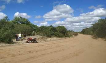 Imagem 7: Terreno com 20 tarefas de área à venda depois do Lameiro na Cidade do Crato