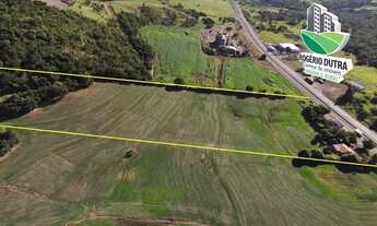 Imagem 4: 8,5 Alqueires a venda em Cornélio Procópio- BR-369