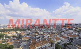 Imagem 7: Lindo apartamento em Vila Maria Alta