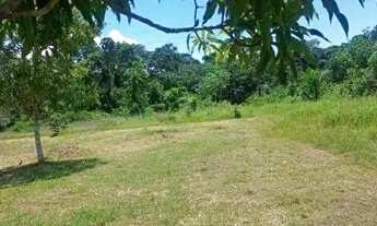 Imagem 4: Chácara a 5 km da ponte Rio madeira a 15 minutos do CPA em área escriturada