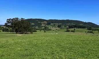 Imagem 7: Campo para pecuária em Taquara RS
