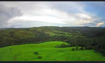 Imagem: A M IMOVEIS VENDE EXELENTE FAZENDA COM 101,64