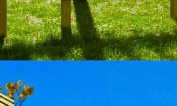 Imagem 5: Apartamento no Centro de Paulista