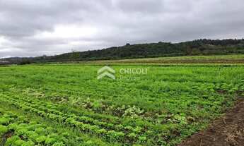 Imagem: Residencial Lote/Terreno em