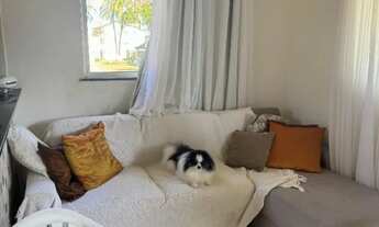 Imagem 7: Casa 2/4 em Arembepe para REVEILLON