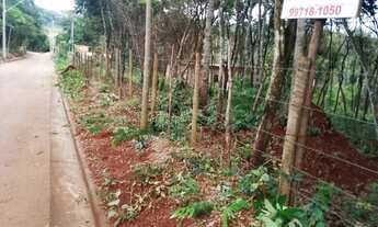 Imagem: 4 Chácaras juntas de 600 metros quadrados