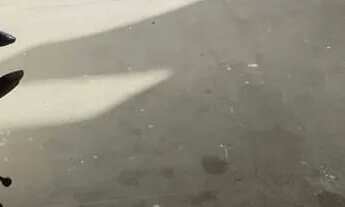 Imagem 6: 01 - Casa no Anjo da Guarda