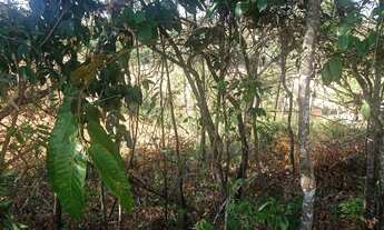 Imagem 3: Vende-se chácara