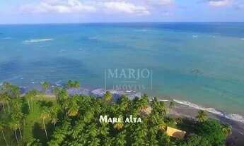 Imagem 6: Terreno em Japaratinga/AL