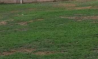 Imagem: Terreno em ótimo local