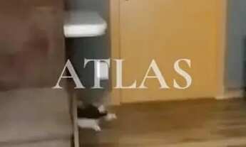 Imagem 6: Apartamento à venda, Retiro, Volta Redonda, RJ