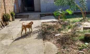 Imagem: Vendo casa em Ceilândia