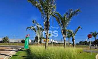 Imagem 5: Lote à venda no Jardins Versalhes