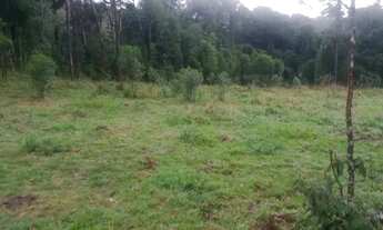 Imagem 2: CHACARA PARA A FAMILIA