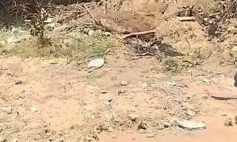 Imagem 3: VENDE-SE UM TERRENO NA ILHA DA CROA, HA 25 METROS DA PRAIA