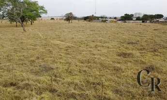 Imagem 4: Oportunidade - Chácara em Roselândia GO