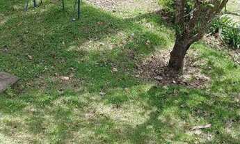 Imagem 7: Chácara com 3 dormitórios à venda, 2570 m² por R$ 1.000.000,00 - Primavera - Jarinu/SP