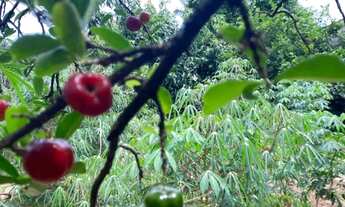 Imagem 7: Chácara Condomínio Monte Carlo Guapiaçu