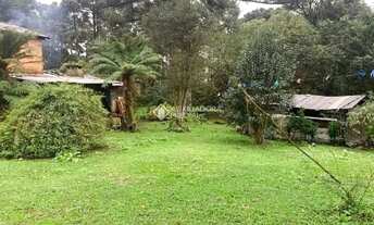 Imagem 6: Casa 2 dormitórios terreno de 3.695,68 m²