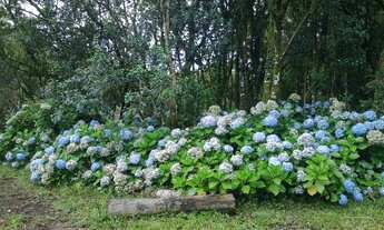 Imagem 2: Áreas,bairro Área rural