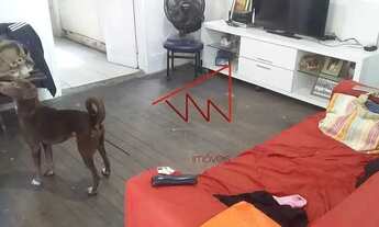 Imagem 7: Casa de rua - Sobrado / Residencial / Santa Teresa