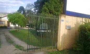 Imagem 4: EXCELENTE TERRENO A VENDA AO LADO DA AVIPEC NO BACACHERI!