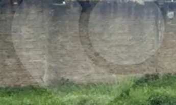 Imagem 6: Terreno à venda em Jardim Floresta - RR