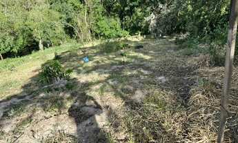 Imagem 4: Chacara a venda Chácara com venda por R$140.000